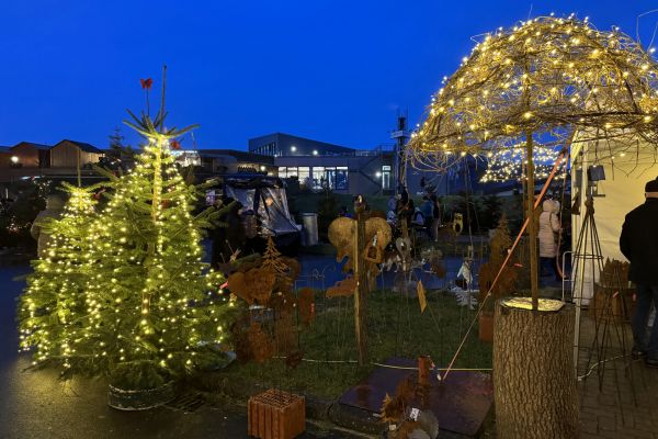 Beleuchtete Tannen im Nordseebad Dangast